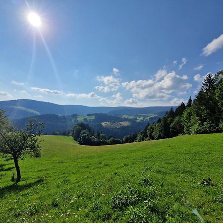 Turisticna Kmetija Ramsak Villa Zrece Bagian luar foto