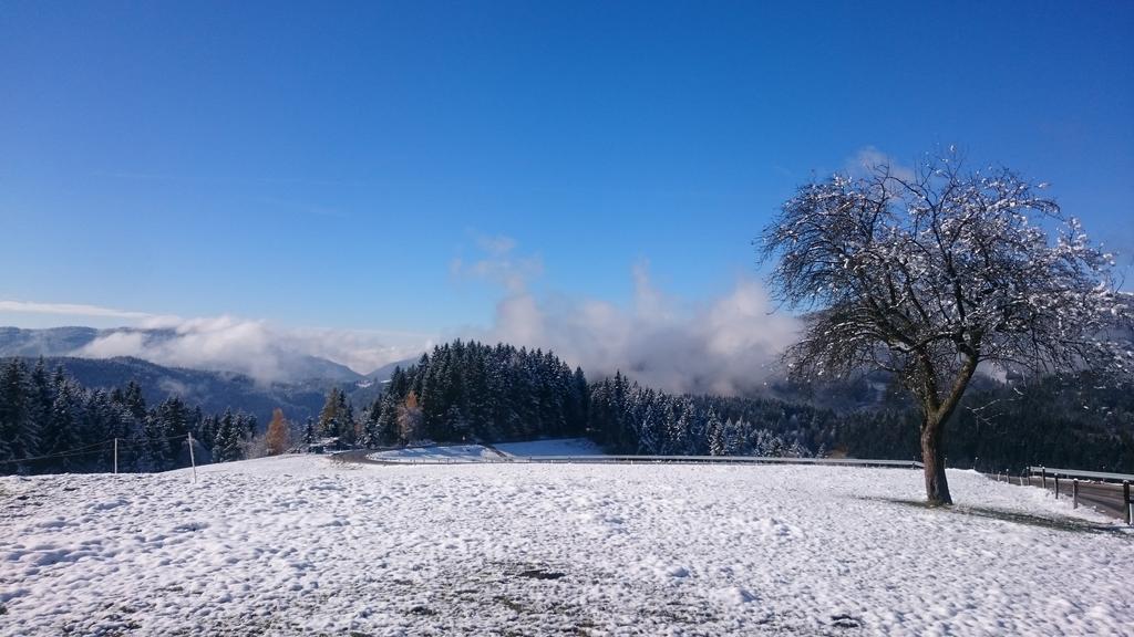 Farm Stay Ramšak Zrece Bagian luar foto